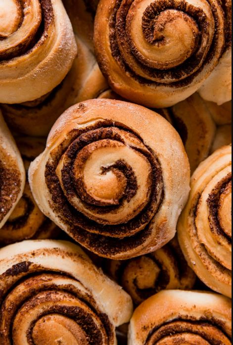 Delicious Chocolate Roll